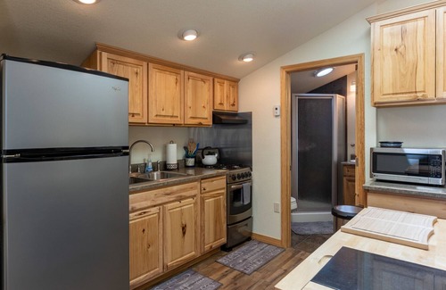 San Juan River Village Cabin | New Rental! Rare Find! Close to Wolf Creek Ski and Hot Springs