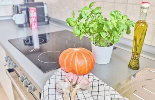 Kaiserslautern Apartment | New Rosalia Stylish Living, Central Experience
