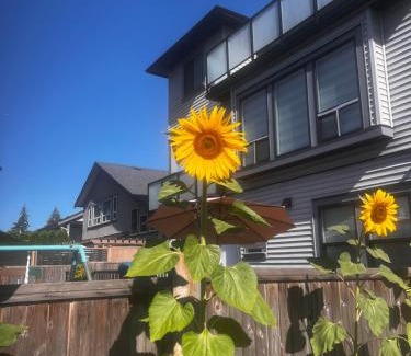 Maple Ridge Apartment | New, Spacious 2 Bedrooms in Downtown With Free Parking!