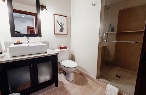 Versant Soleil Condo | ***New*** The resort: true ski-in/ski-out at Versant Soleil 1500-11