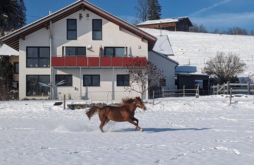 Waltenhofen Apartment | NEW - Time-out at an idyllic ranch
