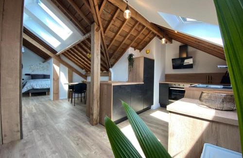 Libramont-Chevigny Apartment | NEW Urban Studio Libramont