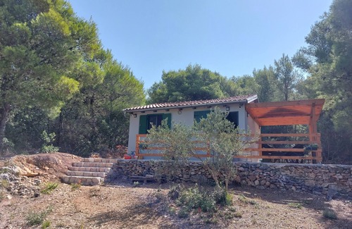 Susica House | New vacation home with 2 terraces, right by the sea - a dream surrounded by forest
