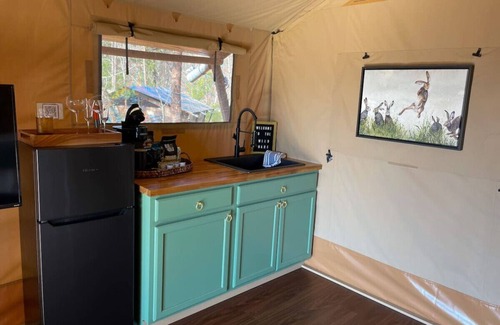 Townsend RV Rental | NEW* “Wild Hare” Luxury Glamping Tent for 2