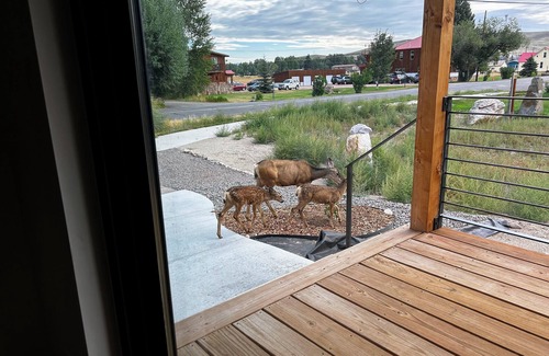 Gunnison House | Newly Built House in Gunnison/Crested Butte!