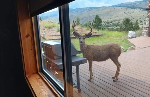 Emigrant House | Newly Listed! Yellowstone Mountain View