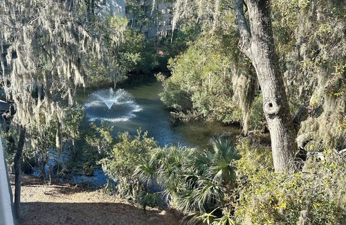 Hilton Head Island Condo | Newly Renovated 3-Bedroom Condo in Hilton Head Island