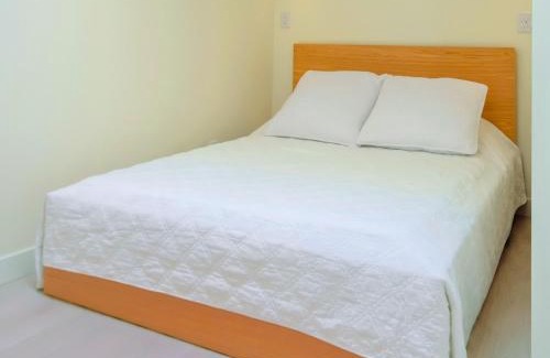 Downtown Eastside Apartment | Newly Renovated 2 Bedroom Condo in Japantown! Near Railtown & Gastown!