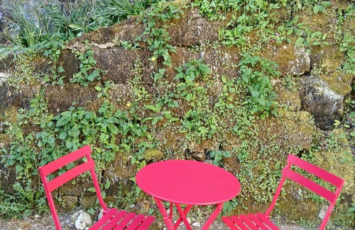 Saumur Cottage | Newly renovated bungalow in a park near the center of Saumur