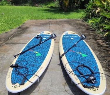 Keauhou Apartment | Newly Renovated Condo with SUP Paddle Boards and Golf Clubs Included