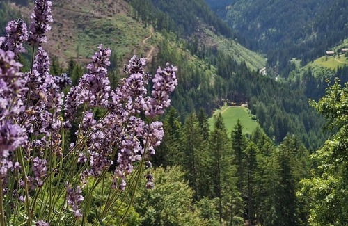 Ega Apartment | Newly renovated farmhouse, sunny location, great hiking opportunities nearby
