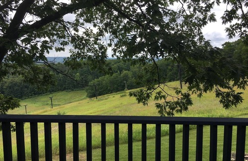 Bellaire Condo | Newly Updated 3 bedroom, 2.5 bath Slope Side Shanty Creek Summit Village Condo