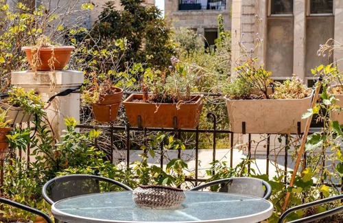 Talbieh Apartment | nExperience of Jerusalem