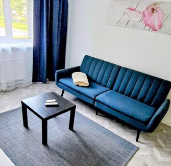 Karmelava Apartment | Next door airport apartment