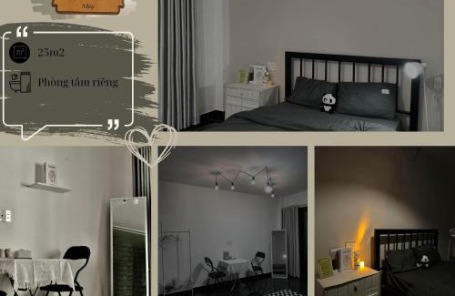 Son Tra House | Nhà Bơ Homestay Đà Nẵng