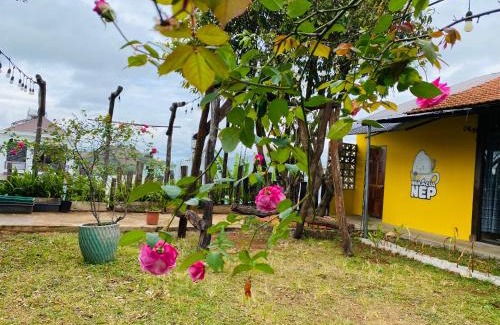 Pleiku Cabin | Nhà của Nếp