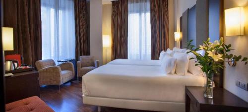 Granada City Center Hotel | NH Collection Victoria