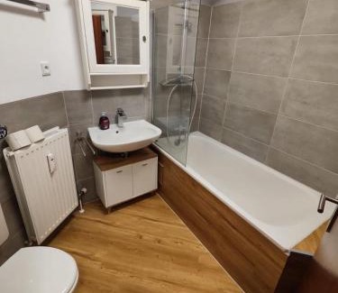 Wolfsburg Apartment | Nice 2 Room Apartment - central/VW Werk