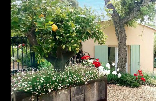 Preconil Villa | Nice air-conditioned house with flower garden