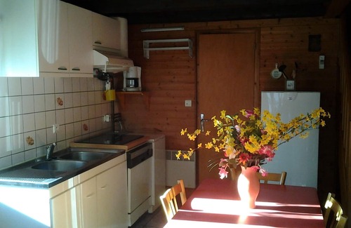Saulxures-sur-Moselotte Ski Chalet | Nice and quiet chalet . located south .