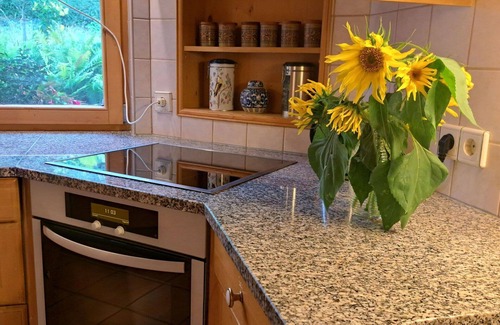Maishofen Apartment | Nice apartment for 5 guests with WIFI, TV, patio and pets allowed