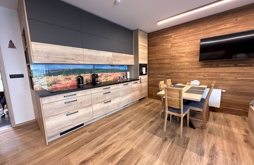 Dolni Morava Apartment | Nice apartment for 5 people with WIFI, TV, terrace, panoramic view and parking