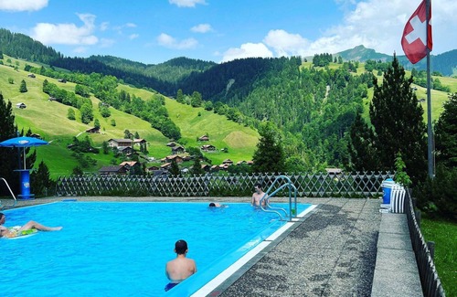 Ruedisbach Apartment | Nice apartment for 8 people with hot tub, WIFI, TV, balcony and pets allowed