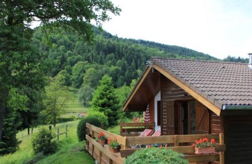 Le Thillot Ski Chalet | Nice chalet with dishwasher, in the High Vosges