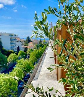 Cimiez Apartment | Nice Cimiez Little Studio Sea View