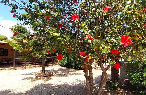 Alghero House | Nice cottage in Alghero. Garden and bbq