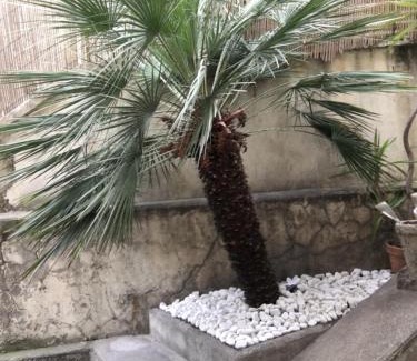 Mantega Apartment | Nice Grand appartement face jardin