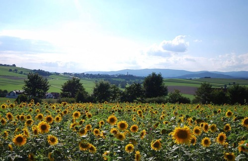 Eschlkam Other | Nice holiday home with garden