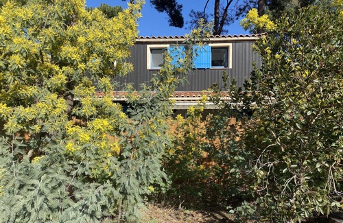 Lacanau-Ocean House | Nice semi-detached house type 3 carefully maintained with communal swimming pool