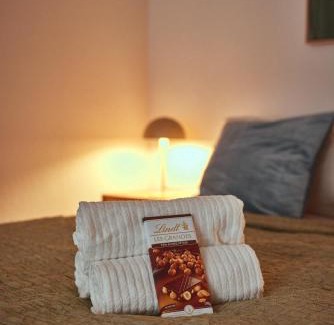 Pforzheim Apartment | Nicole, schönes Apartment mit Sauna