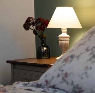 Haguenau Apartment | Nid d'émeraude - Votre escale cosy à Haguenau