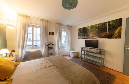 Haguenau Apartment | Nid d'émeraude - Votre escale cosy à Haguenau