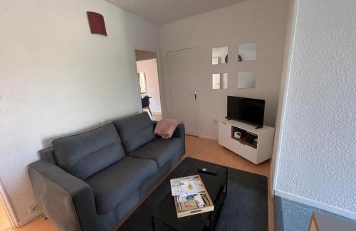 Bourbonne-les-Bains Apartment | Nid douillet proche des Thermes
