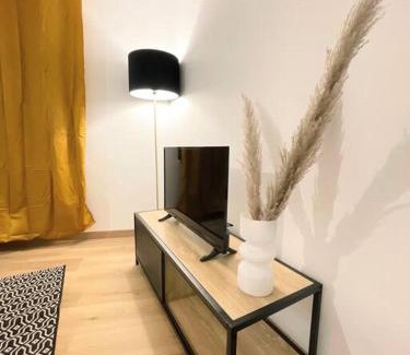 Rodez Apartment | /Nid/paisible hyper centre