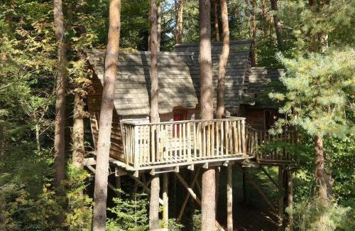 Champdray Bed & Breakfast | NIDS des VOSGES