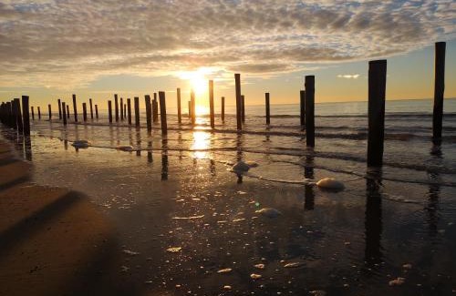 Petten Bed & Breakfast | Nieuw Strand