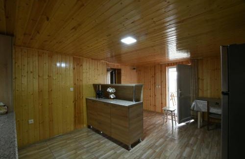 Tsqaltubo House | Nika house