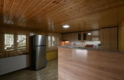 Tsqaltubo House | Nika house