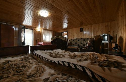 Tsqaltubo House | Nika house