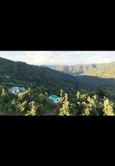 Mukteshwar House | Nikhil Homestay