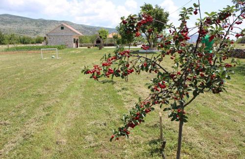 Ruzic House | Nikini dvori