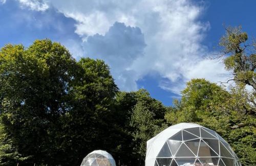 Ambrolauri Other | Nikorstminda glamping - Batoni's forest