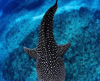 Exmouth House | Ningaloo Lodge Exmouth