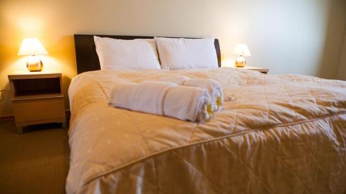 Hirafu Apartment | Niseko Alpine Apartments