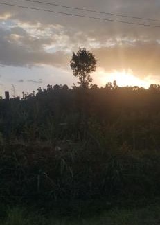 Chogoria Other | Nishati Trails