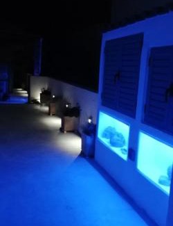 Livadi Apartment | Niso